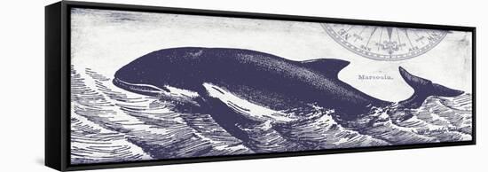 Whale on Cream II-Gwendolyn Babbitt-Framed Stretched Canvas