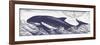 Whale on Cream II-Gwendolyn Babbitt-Framed Premium Giclee Print