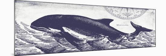 Whale on Cream II-Gwendolyn Babbitt-Mounted Premium Giclee Print