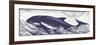 Whale on Cream II-Gwendolyn Babbitt-Framed Art Print