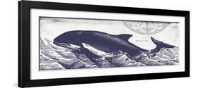 Whale on Cream II-Gwendolyn Babbitt-Framed Art Print