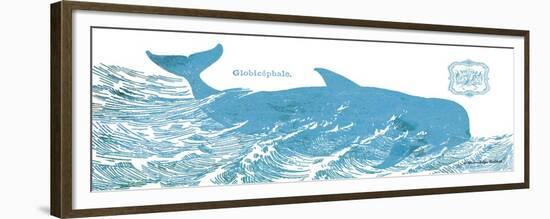 Whale on White I-Gwendolyn Babbitt-Framed Premium Giclee Print