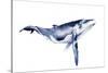 Whale Portrait I-Grace Popp-Stretched Canvas