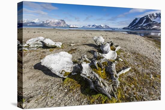 Whale Remains in Gashamna (Goose Bay)-Michael Nolan-Stretched Canvas