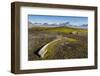 Whale Remains in Gashamna (Goose Bay)-Michael Nolan-Framed Photographic Print