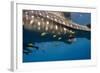 Whale Shark and Golden Trevally, Cenderawasih Bay, West Papua, Indonesia-Pete Oxford-Framed Photographic Print