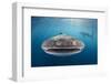 Whale Shark, Cenderawasih Bay, West Papua, Indonesia-Pete Oxford-Framed Photographic Print