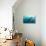 Whale shark Galapagos Islands, Darwin Island and Arch-Michele Westmorland-Stretched Canvas displayed on a wall