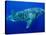 Whale Shark, Galapagos Islands National Park, Ecuador-Stuart Westmoreland-Stretched Canvas