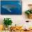 Whale shark, Madagascar, Indian Ocean, Africa-Dan Burton-Framed Stretched Canvas displayed on a wall