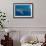 Whale shark, Madagascar, Indian Ocean, Africa-Dan Burton-Framed Photographic Print displayed on a wall