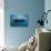 Whale Shark, Rhincodon Thypus, Usa, Haiwaii, Pacific Ocean-Reinhard Dirscherl-Stretched Canvas displayed on a wall