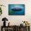 Whale Shark, Rhincodon Thypus, Usa, Haiwaii, Pacific Ocean-Reinhard Dirscherl-Framed Stretched Canvas displayed on a wall