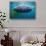 Whale Shark, Rhincodon Thypus, Usa, Haiwaii, Pacific Ocean-Reinhard Dirscherl-Stretched Canvas displayed on a wall