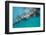 Whale Shark (Rhincodon Typus), Oslob, Cebu, the Visayas, Philippines, Southeast Asia, Asia-Christian Kober-Framed Photographic Print