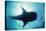 Whale Shark Shark in Silhouette with Snorkeller-null-Stretched Canvas