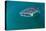 Whale Shark Underwater-null-Stretched Canvas