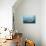 Whale Shark-Michele Westmorland-Stretched Canvas displayed on a wall