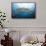 Whale Shark-Michele Westmorland-Framed Stretched Canvas displayed on a wall
