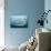 Whale Shark-Michele Westmorland-Photographic Print displayed on a wall