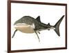 Whale Shark-null-Framed Art Print