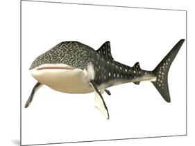 Whale Shark-null-Mounted Art Print