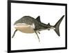 Whale Shark-null-Framed Art Print