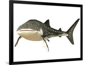 Whale Shark-null-Framed Art Print