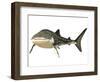 Whale Shark-null-Framed Art Print