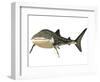 Whale Shark-null-Framed Art Print