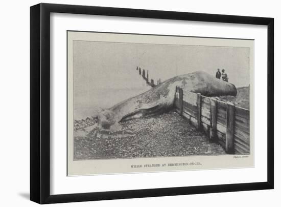 Whale Stranded at Birchington-On-Sea-null-Framed Giclee Print