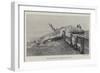 Whale Stranded at Birchington-On-Sea-null-Framed Giclee Print