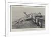 Whale Stranded at Birchington-On-Sea-null-Framed Giclee Print