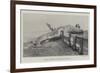 Whale Stranded at Birchington-On-Sea-null-Framed Giclee Print