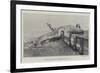 Whale Stranded at Birchington-On-Sea-null-Framed Giclee Print