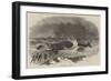 Whale Stranded at Winterton-null-Framed Giclee Print