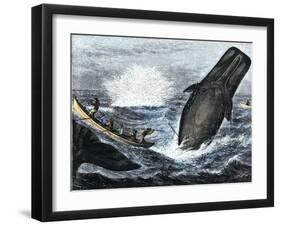 Whale Struck by a Harpoon While Breaching, c.1800-null-Framed Giclee Print