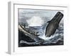 Whale Struck by a Harpoon While Breaching, c.1800-null-Framed Giclee Print