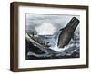 Whale Struck by a Harpoon While Breaching, c.1800-null-Framed Giclee Print