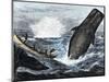 Whale Struck by a Harpoon While Breaching, c.1800-null-Mounted Giclee Print