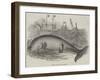 Whale Taken Off Folkestone-null-Framed Giclee Print