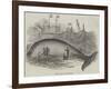 Whale Taken Off Folkestone-null-Framed Giclee Print