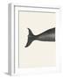 Whale Tight Crop I Handcolored Sealife Lithograph 1824-Vintage Poster-Framed Photographic Print