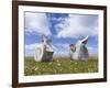 Whale vertebrae on Bleaker Island.-Martin Zwick-Framed Photographic Print