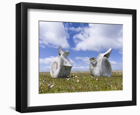 Whale vertebrae on Bleaker Island.-Martin Zwick-Framed Photographic Print