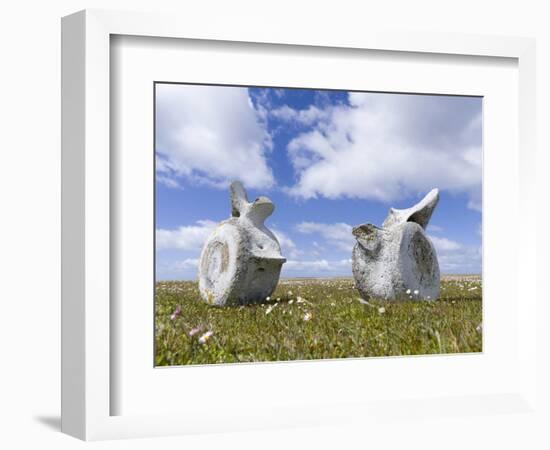 Whale vertebrae on Bleaker Island.-Martin Zwick-Framed Photographic Print