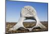 Whale Vertebrae on Tundra in Tusenoyane Archipelago-Paul Souders-Mounted Photographic Print