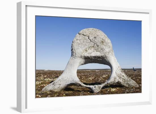 Whale Vertebrae on Tundra in Tusenoyane Archipelago-Paul Souders-Framed Photographic Print