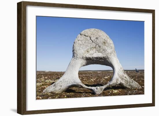 Whale Vertebrae on Tundra in Tusenoyane Archipelago-Paul Souders-Framed Photographic Print