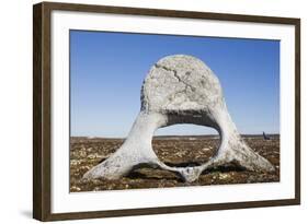 Whale Vertebrae on Tundra in Tusenoyane Archipelago-Paul Souders-Framed Photographic Print